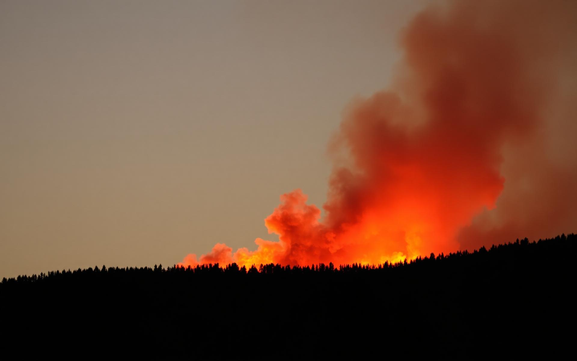 Wildfire burning along a forested ridge at dusk
